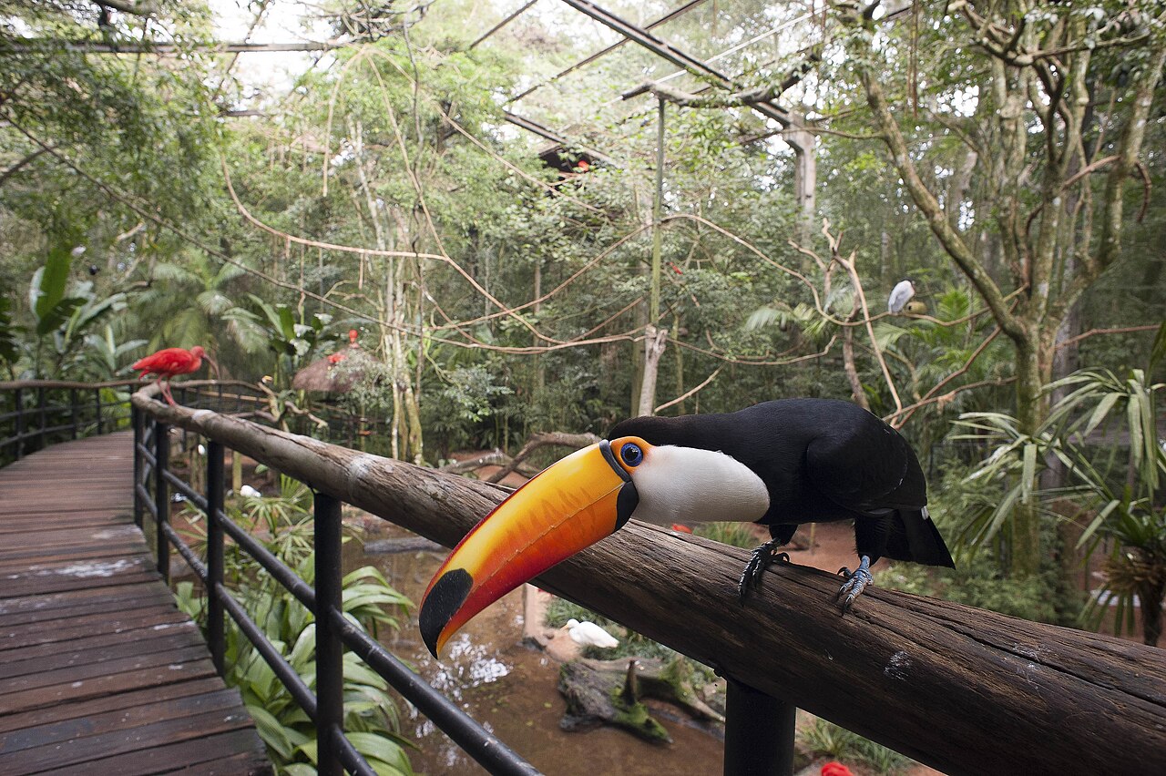 Ave no Parque das Aves em Foz do Iguaçu