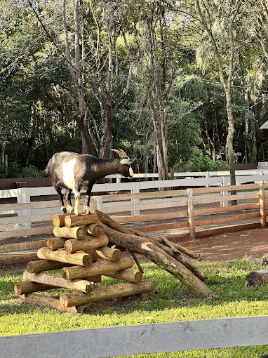 Visita em família ao Zoo Park Foz